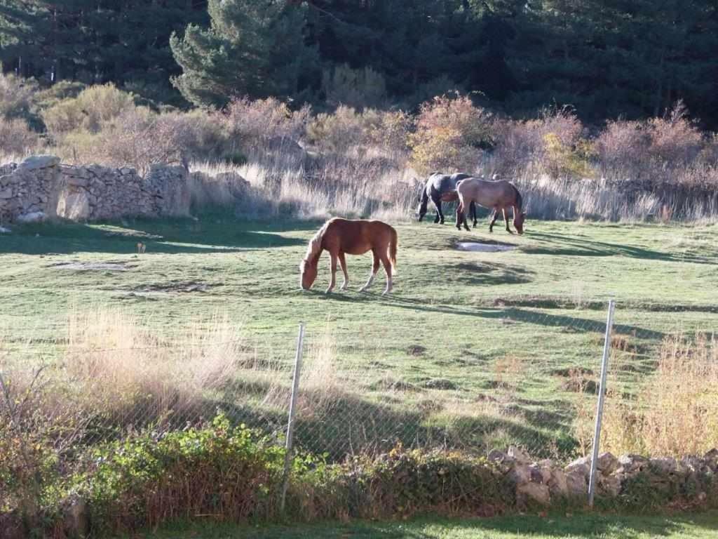 נאבארדונדה דה גרדוס Casa Iona Chalet Adosado Con Vistas A La Montana מראה חיצוני תמונה